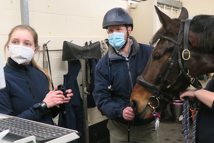 Horse and rider standing in stables